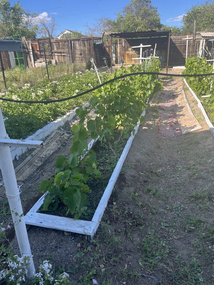 Продам дачу возле ГК Жемчужина , туалет душ все есть