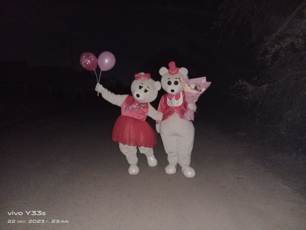 Продам Костюмы мишек