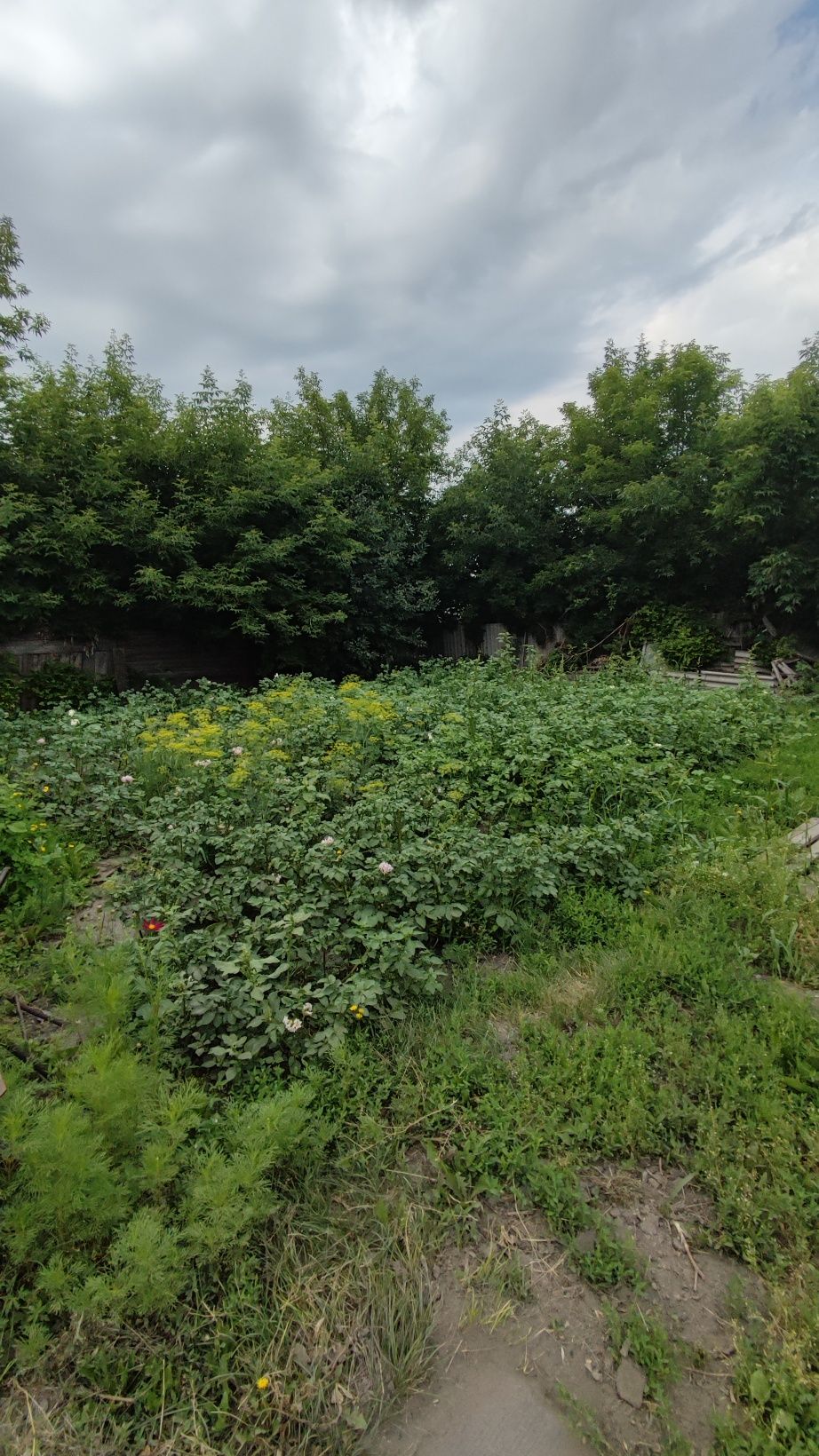 Продам теплый 3 комнатный дом, ДСР.