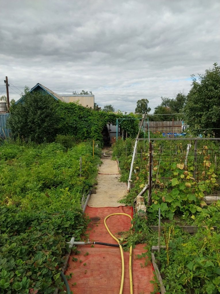 Продам дачу в СО Весна. 4.2 сотки. Всё что нужно на даче всё есть.