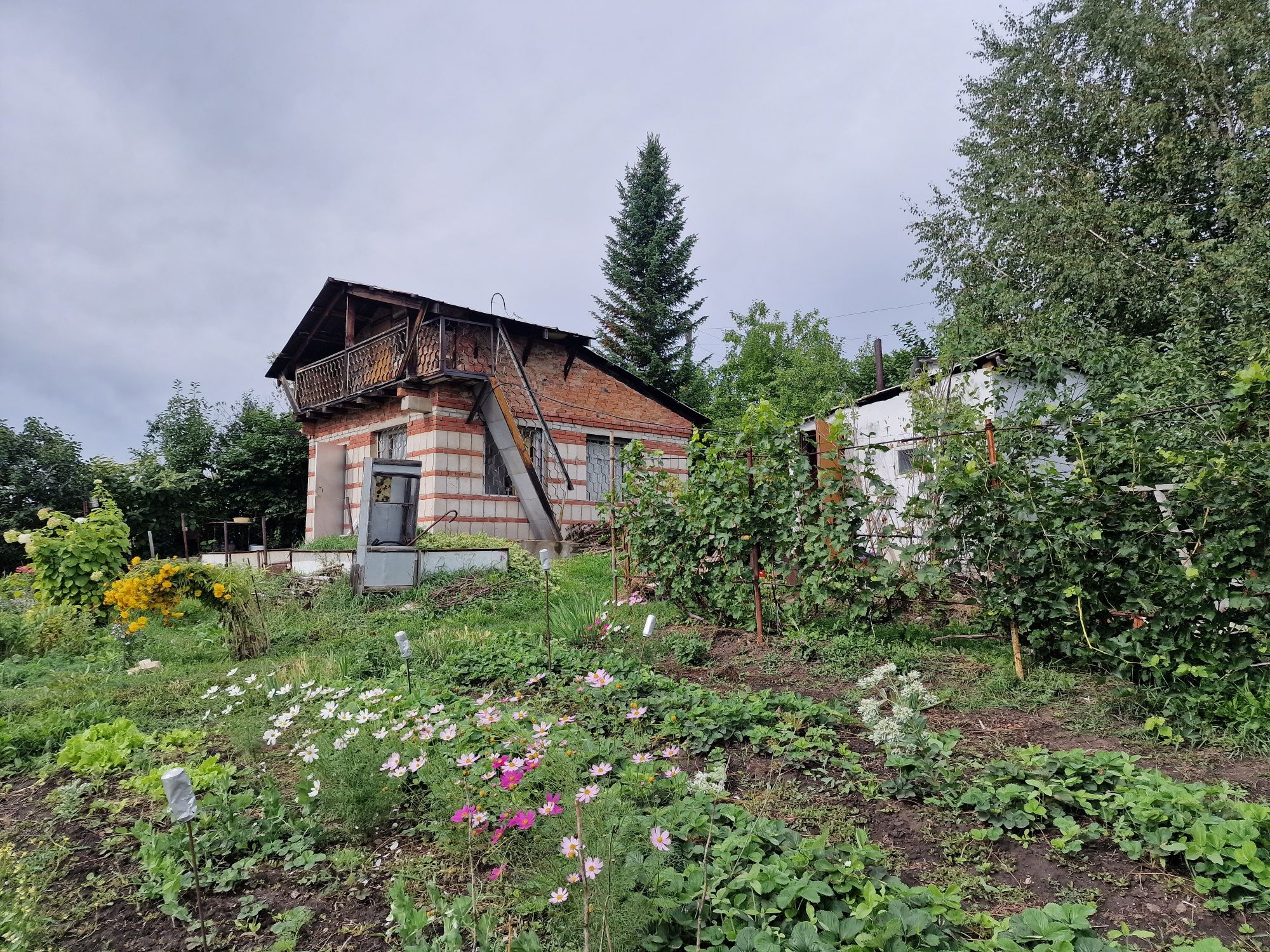 Продам дачу с видом на Залив,Дом кирпичный,10 соток,баня
