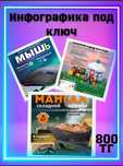 Инфографика для маркетплейсов