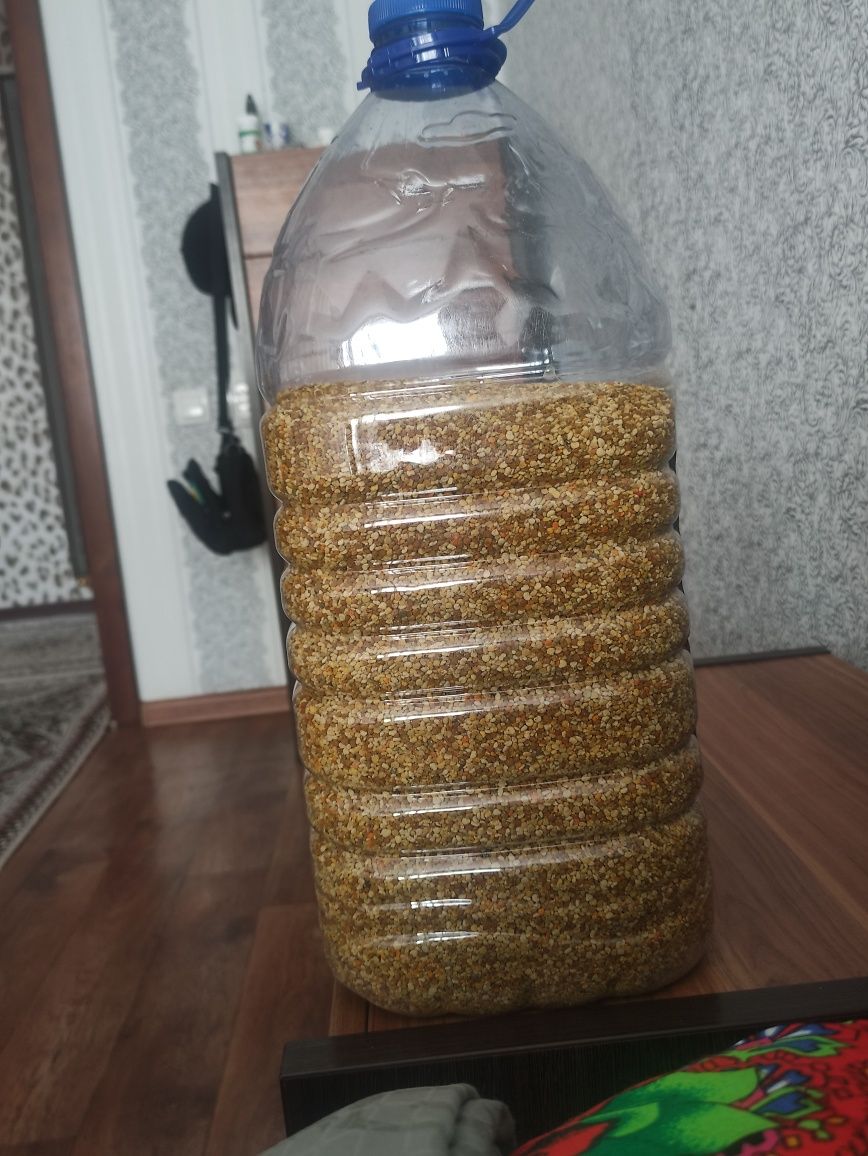 Продам прополис отличного качества