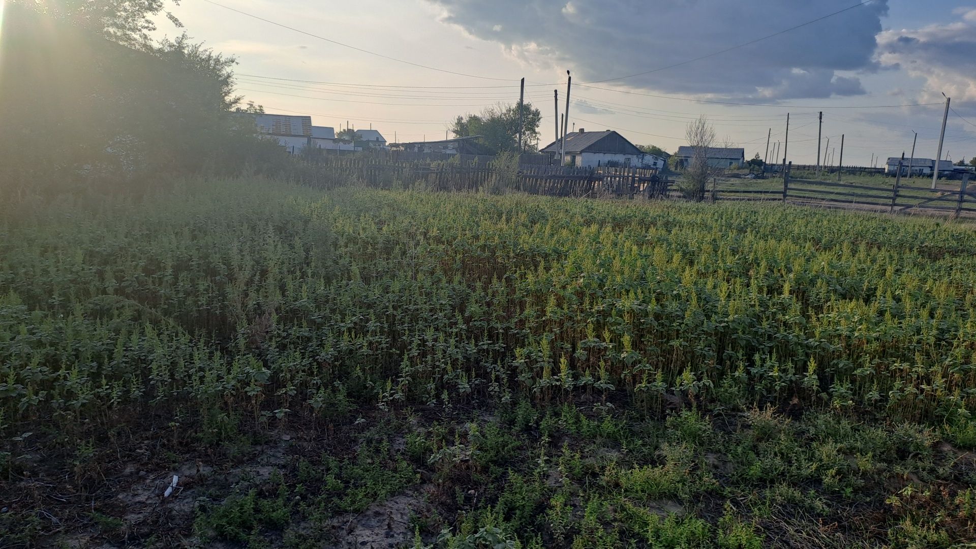 Продаётся дом на Северо-Западном