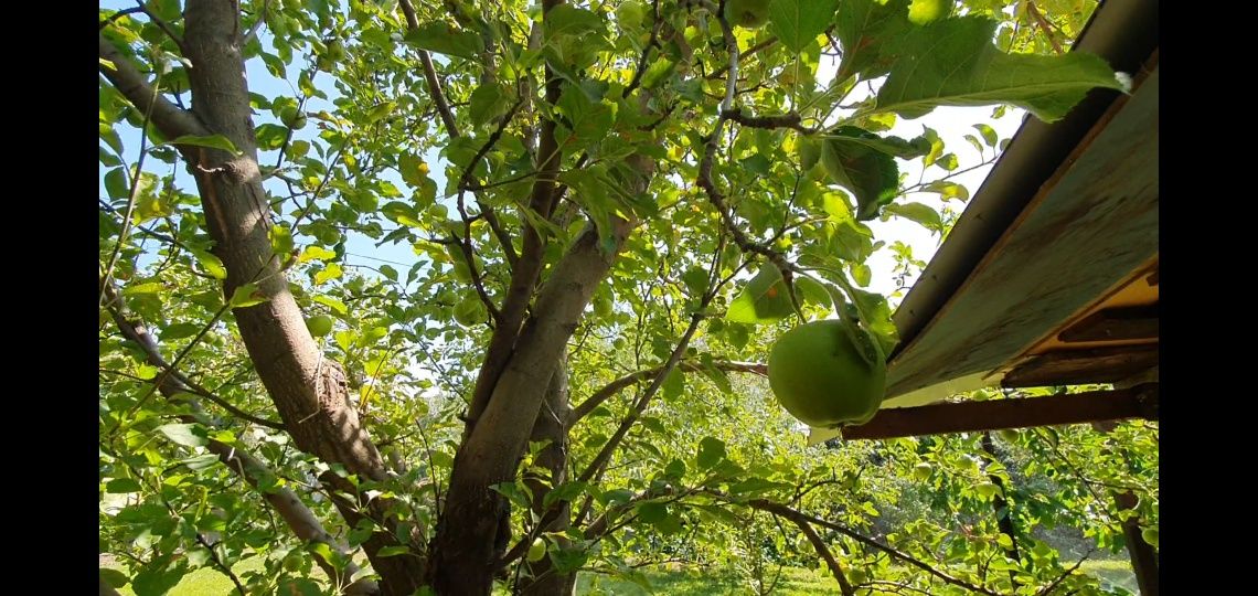 Продам Дачу по верхней Каскеленской трассе