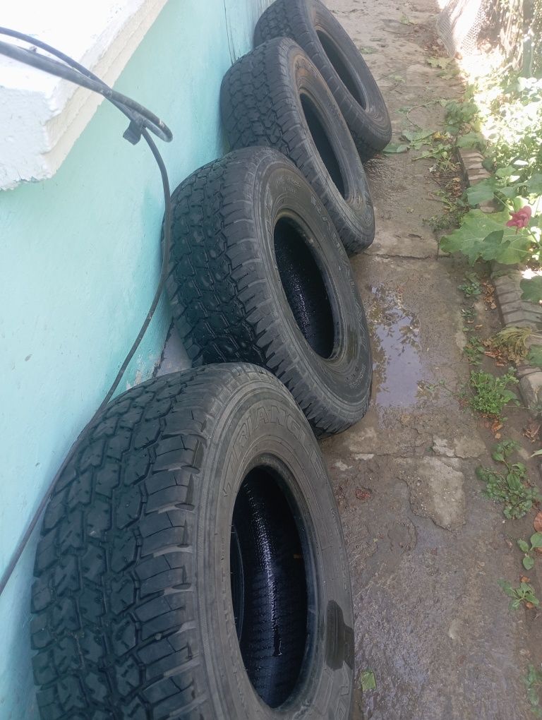 Шины срочно продам
