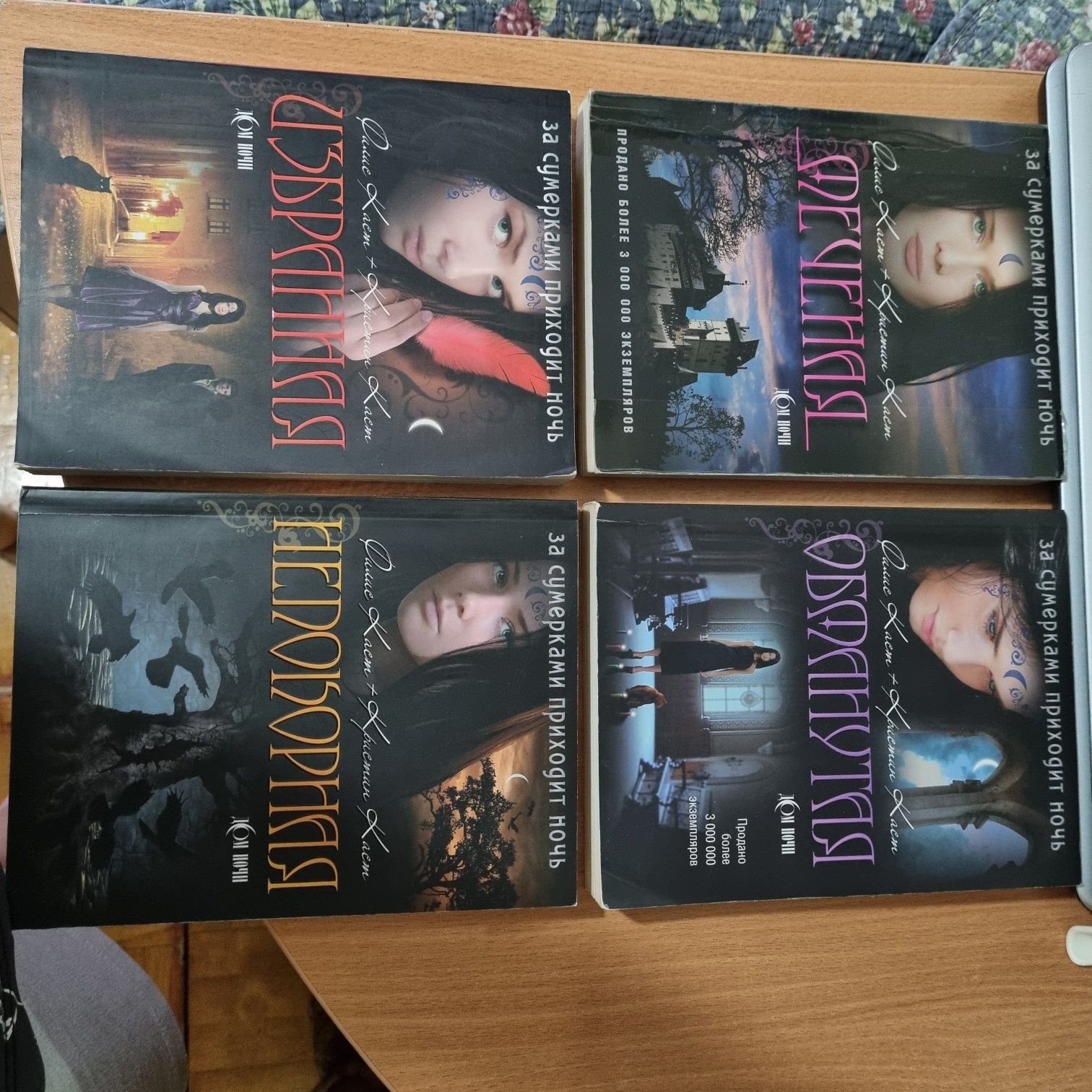 Серия книг  ДОМ НОЧИ
