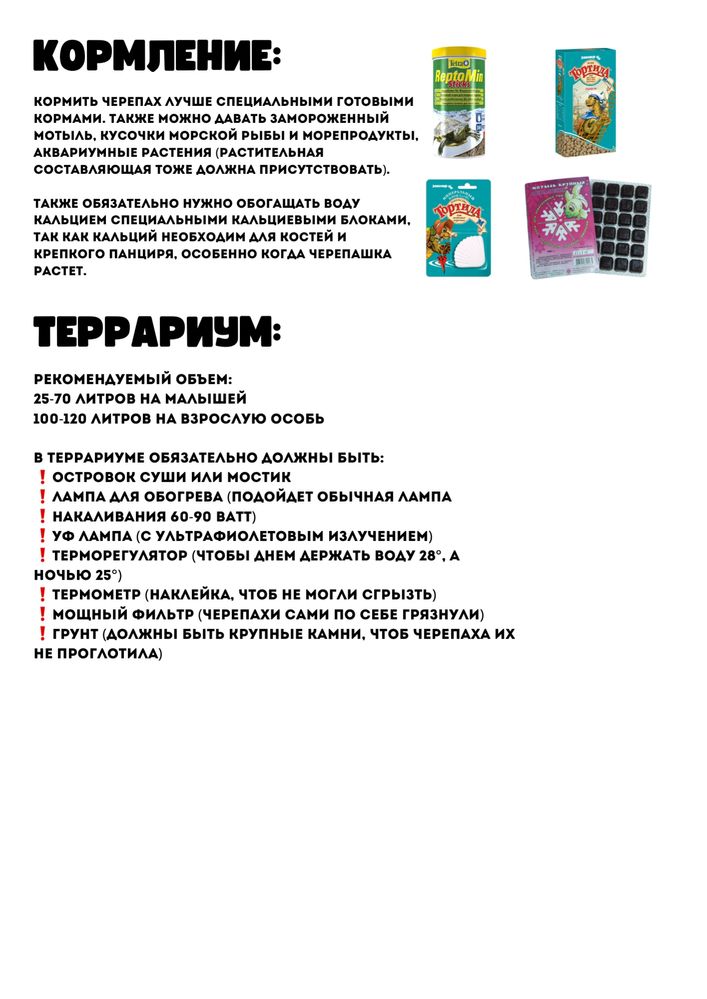 Черепаха, полуводяная, красноухие черепашки
