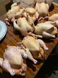 Домашний куриный мяса халялный без ГМО выращенный в домашних условиях