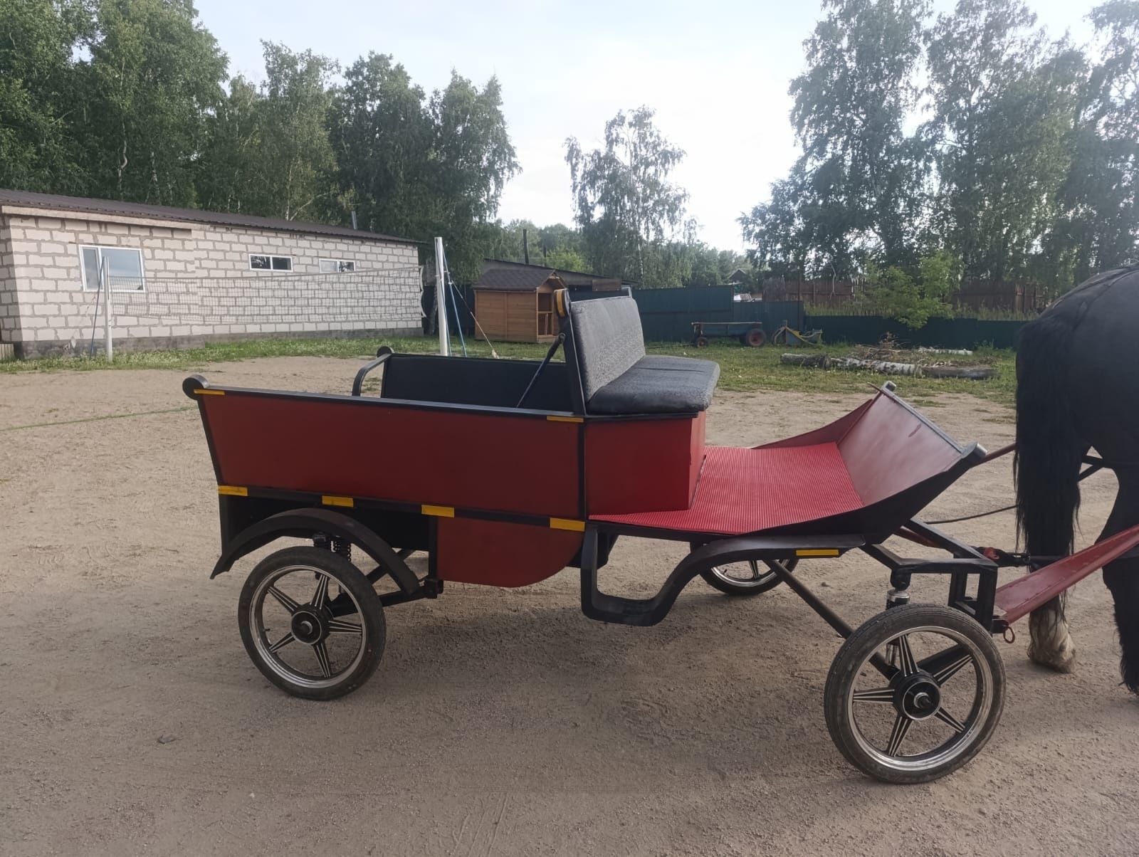 Продам жеребец+ экипаж.