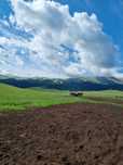 Тапсырыс бойынша өлең жазамын/Пишу стихи на заказ