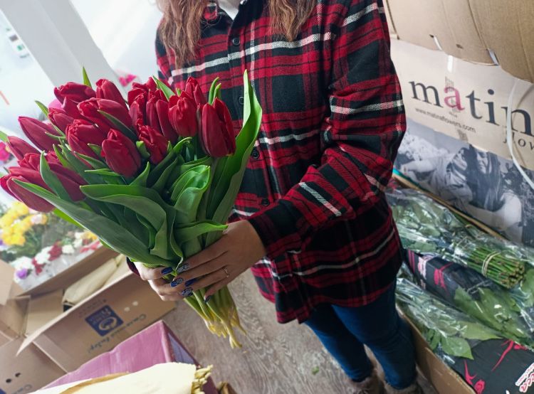 Акция тюльпаны гиганты на 8 марта