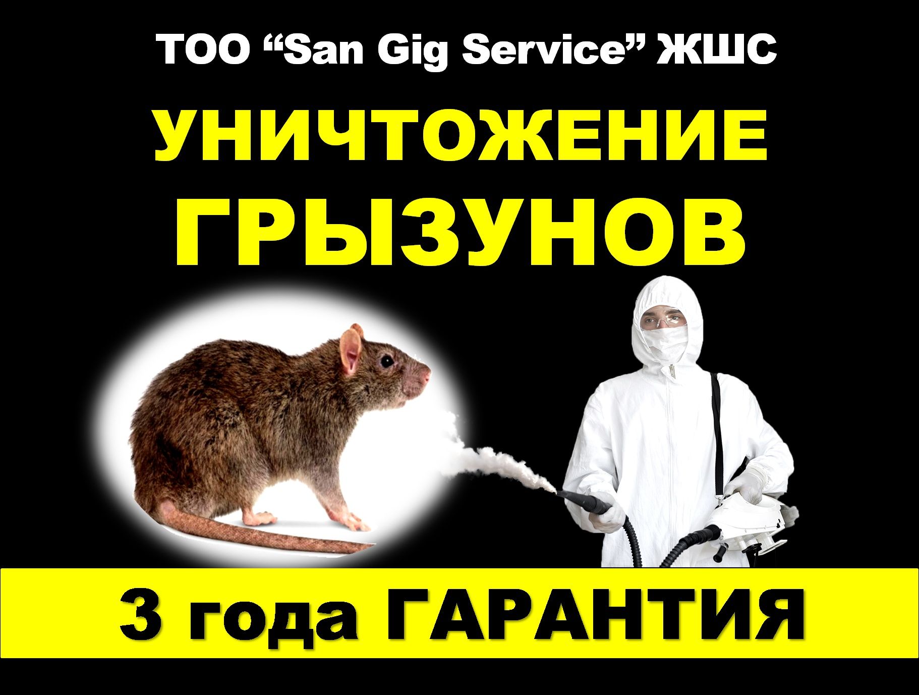 Дезинфекция муравьев, клопов, тараканов,  крысы, мышей