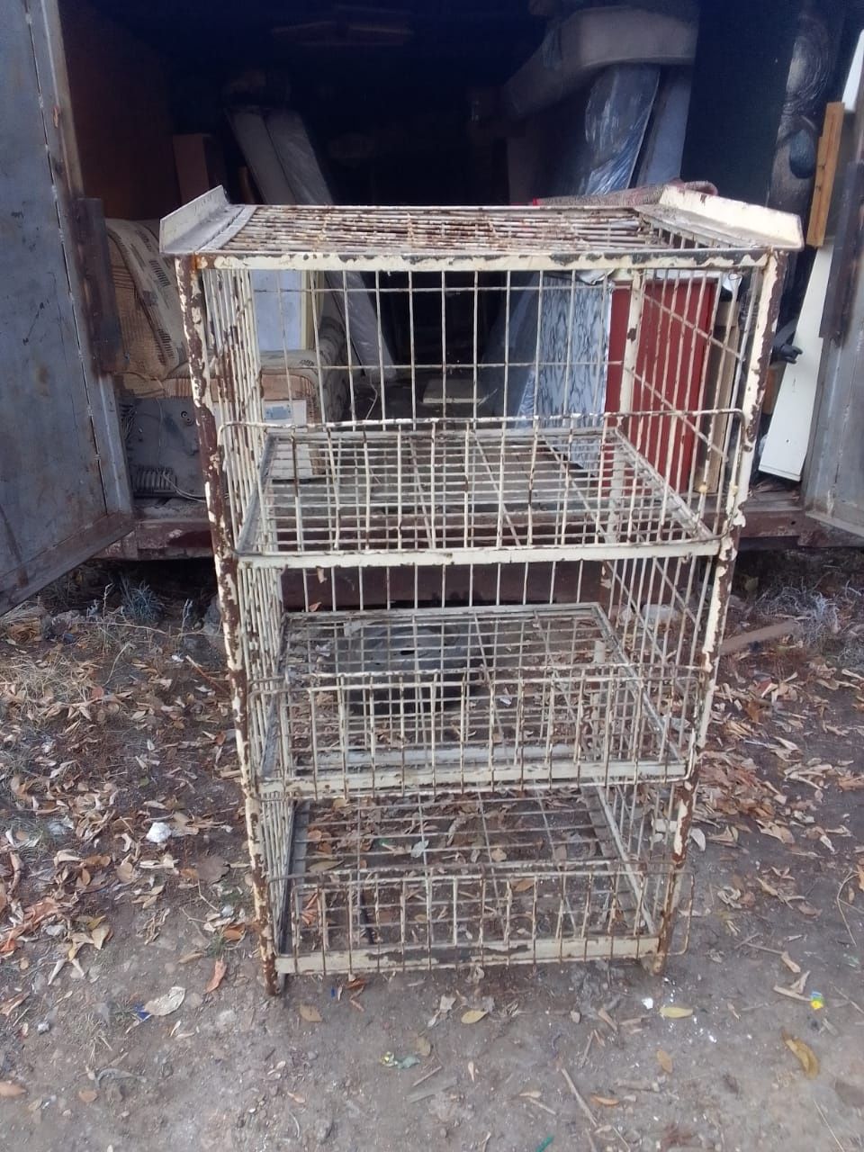 Клетки в хорошем состоянии