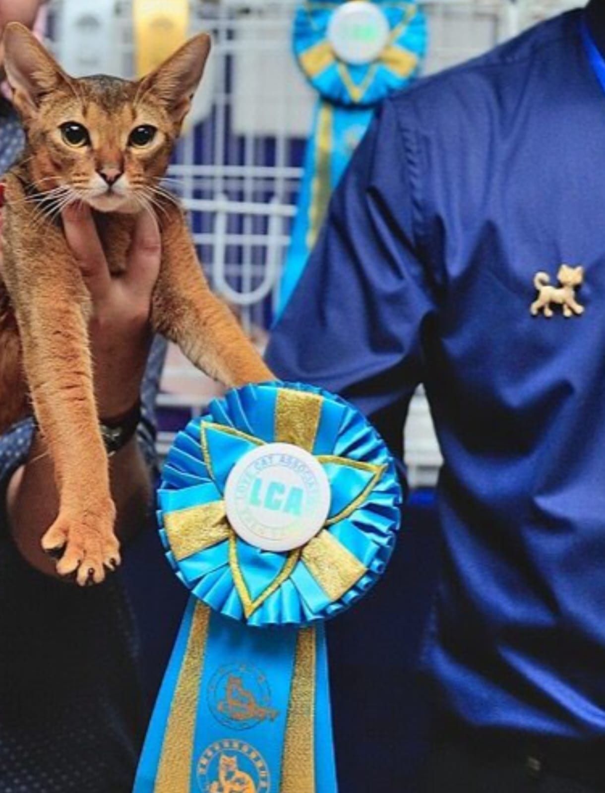Раннее бронирование малышей от мировых чемпионов