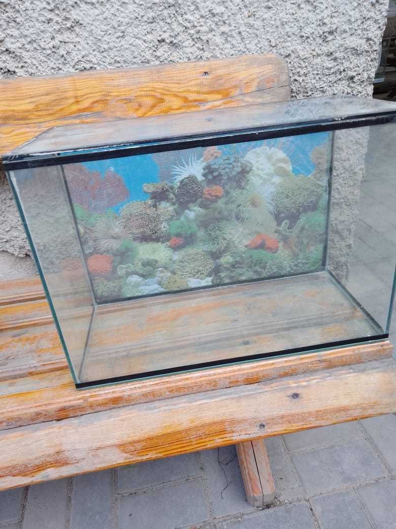 Продам аквариум стекляный 20 л.