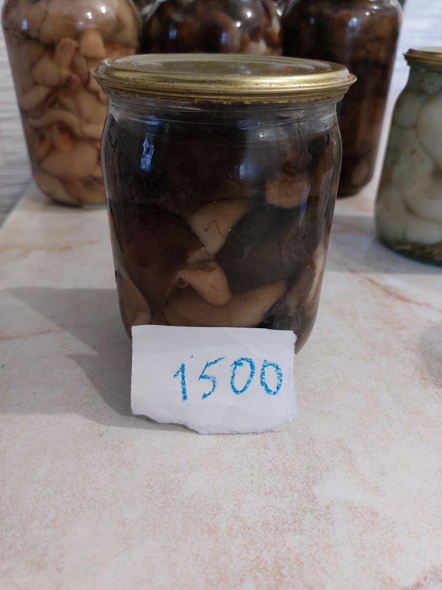 Продам грибы этого года