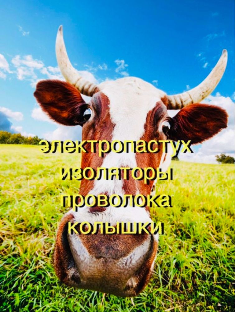 Электропастух Электроизгородь КРС Телят Лошадей овца