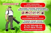 Уничтожение клопов, тараканов, блох, муравьев  в Качарах