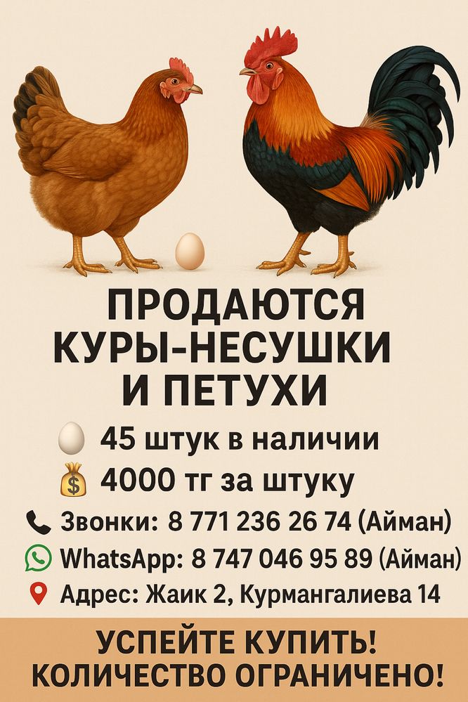 Тауықтар сатылады продается кури