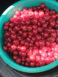 Продам вкусную сочную вишню