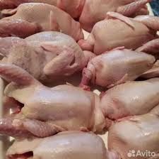 Продам свежее мясо перепелов 4000 т. За 1 кг.