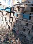 Продам поддоны размер 120:80 б/у
