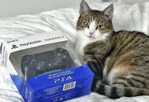 Беспроводной джойстик на playstation 4 / джойстик на playstation 4