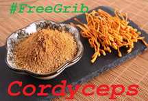 Кордицепс Cordyceps FreeGrib 100% Собственное производство