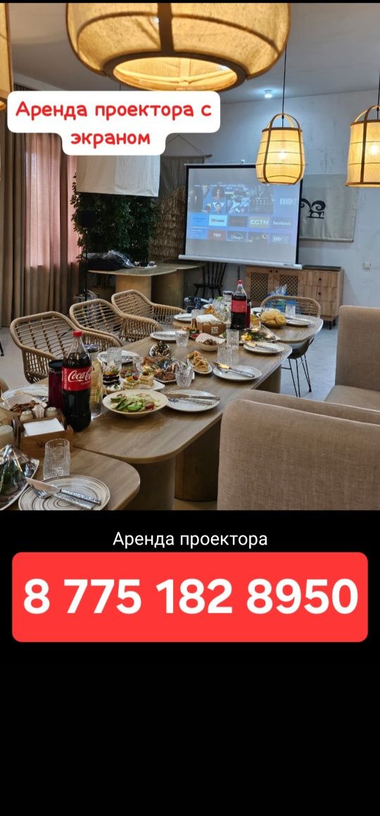 Проектор с экраном