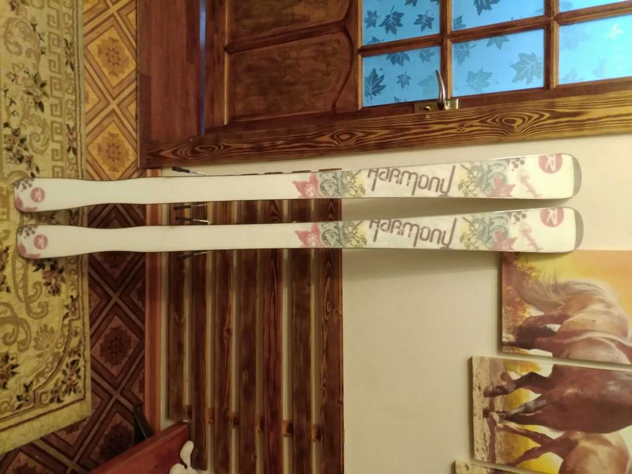 Горные лыжи лыжи