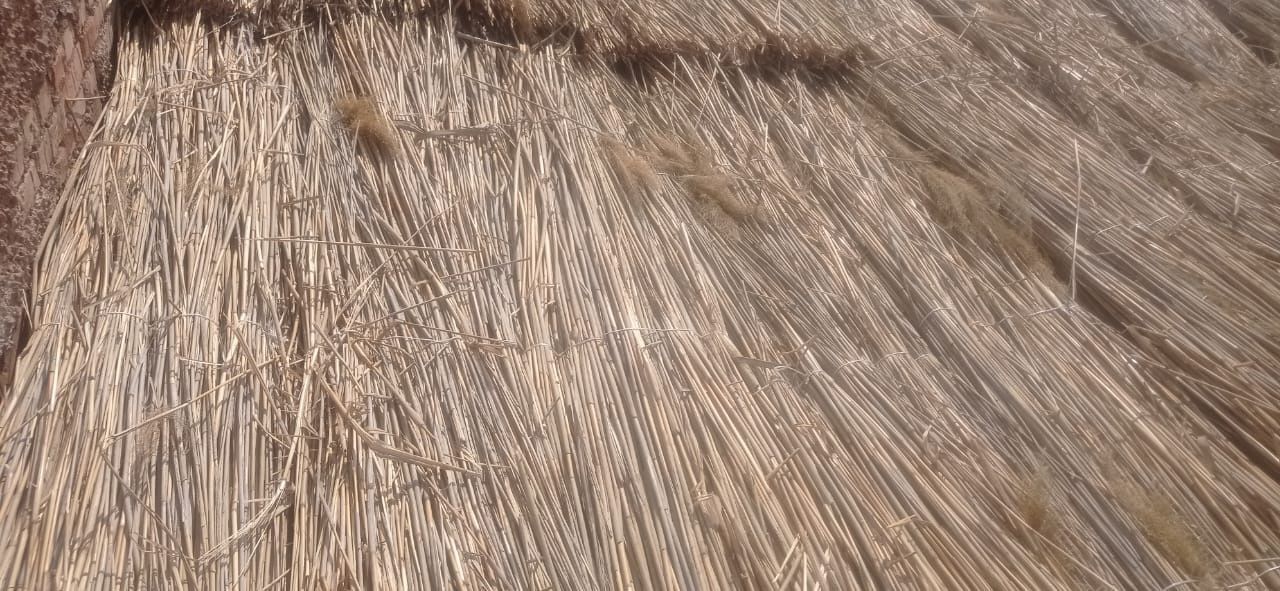 Камыс сатылады .