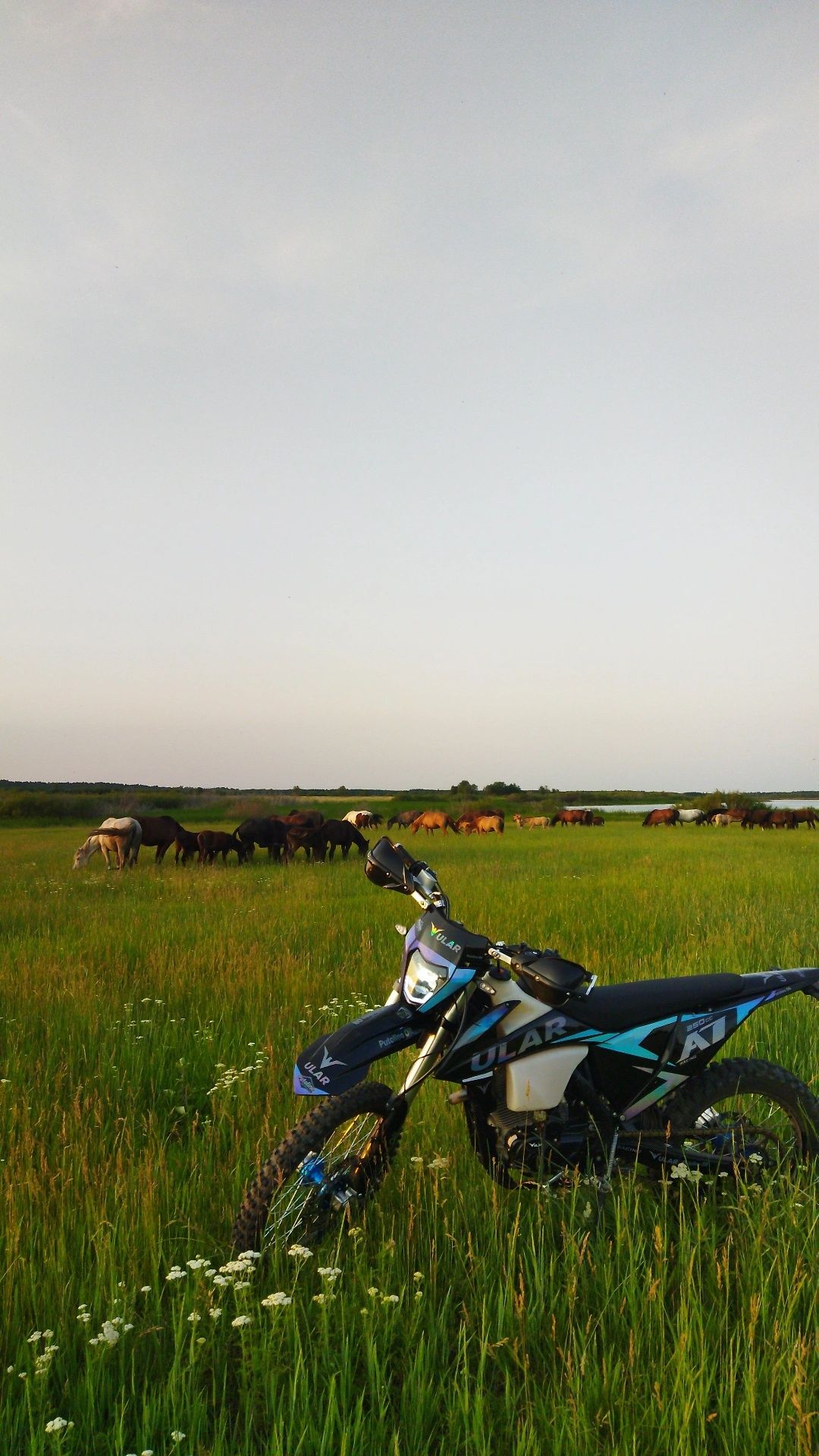 Продам эндуро 250 Ular