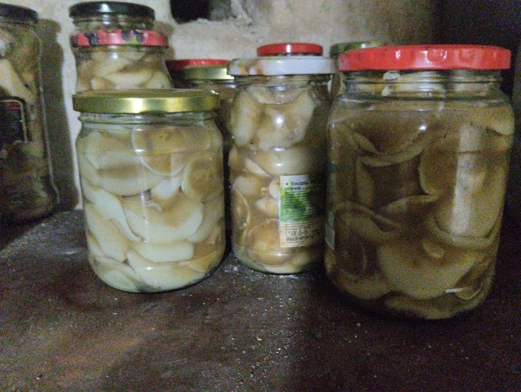 Грибы маринованные