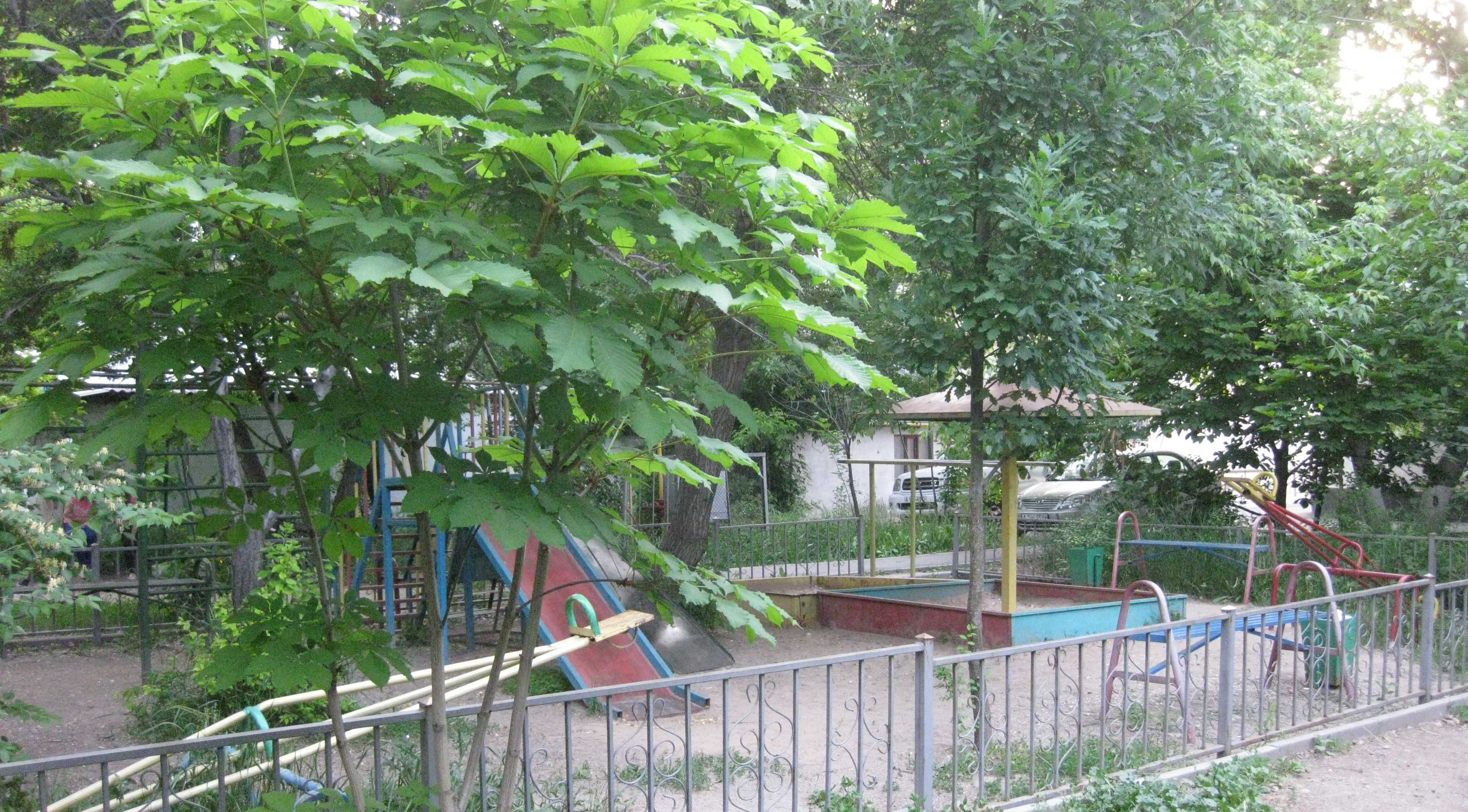 Продам. Квартира 1к 30м + кладовка 30м + огород. Верх. Ауэзовский р-н.