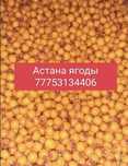 Ирга ягоды свежие скоро Смородина клубника малина вишня яблочный уксус