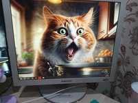 Монитор Samsung SyncMaster 173P 15 дюймовый