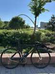 Ardently sprint fixed gear фикс продаю