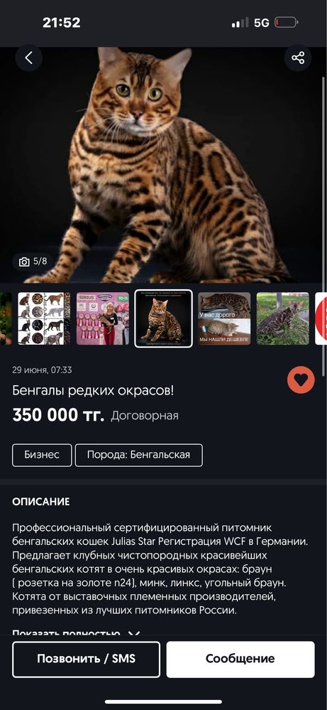Униво сиесть свои запчасть например свои тарелка кушать и па пить