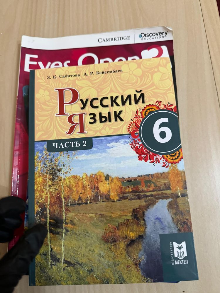 Книга русского языка шестого класса 2-части