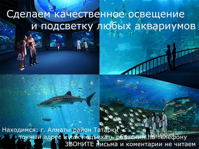 Освещение на аквариум и хоть куда. LED светильник влагостойкий 36 ватт