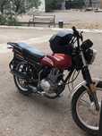 Продам пастушку 150