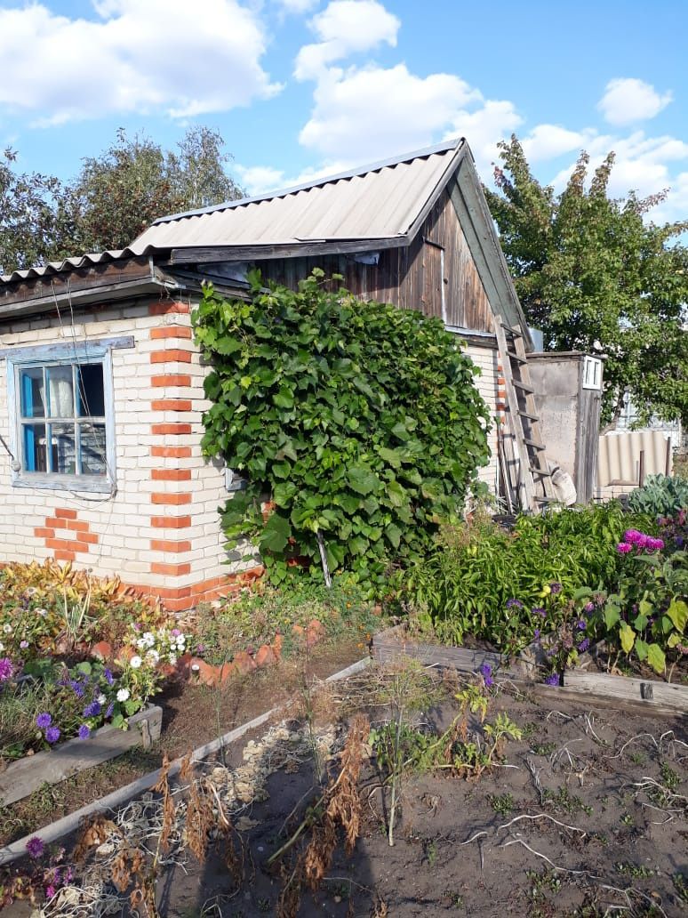 Продам дачу в обществе Автомобилист