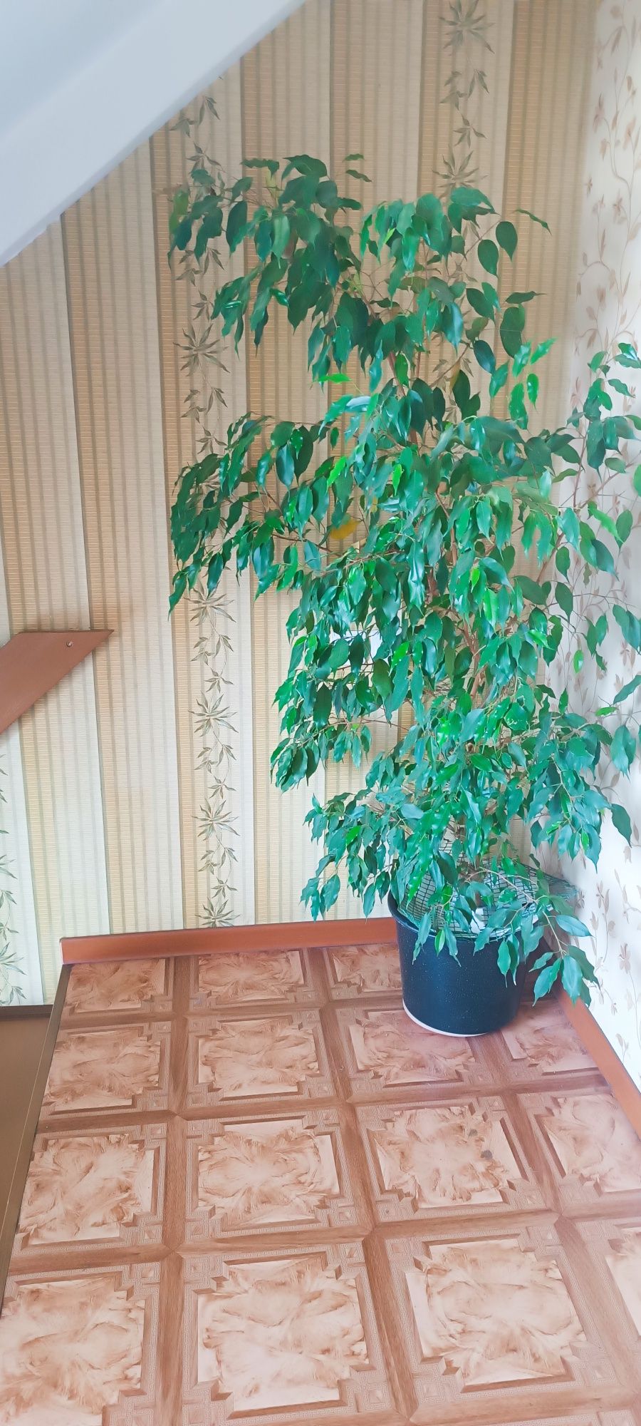 Продам участок 20 с. Алматы, Наурызб. р-н, мкр Акжар,С. Зиманова. мк.А