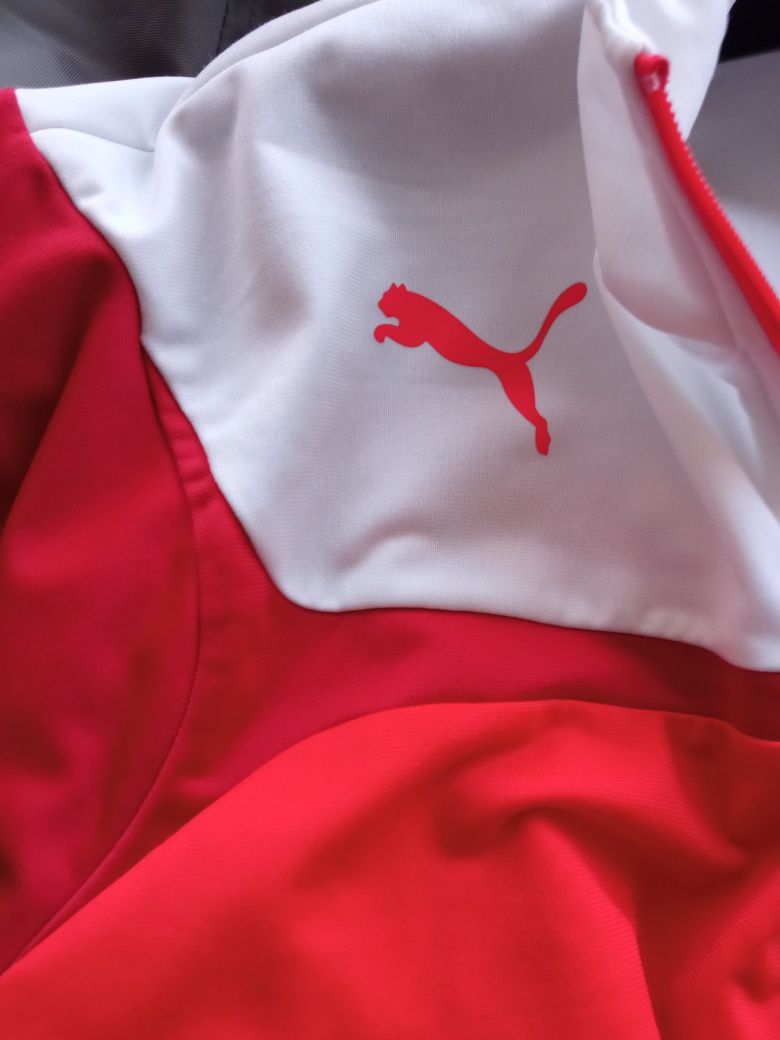 Олимпика Puma мужская