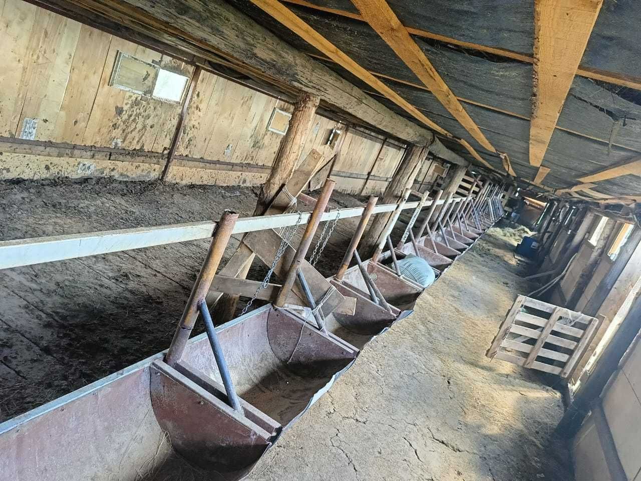 Продам крестьянское хозяйство в ЗКО