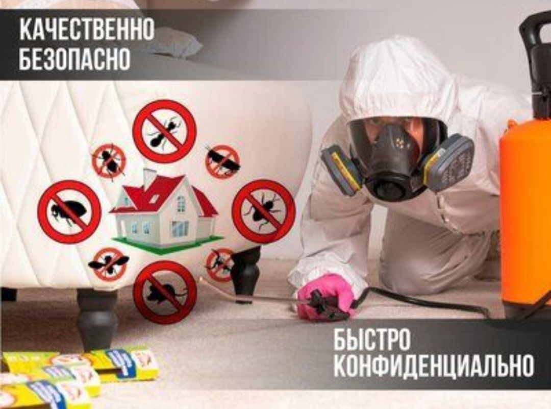 Дезинсекция от Тараканов в Алматы Гарантия 100%! Холодным тумано