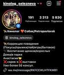 Кинолог / помогу воспитать вашу собаку под вас