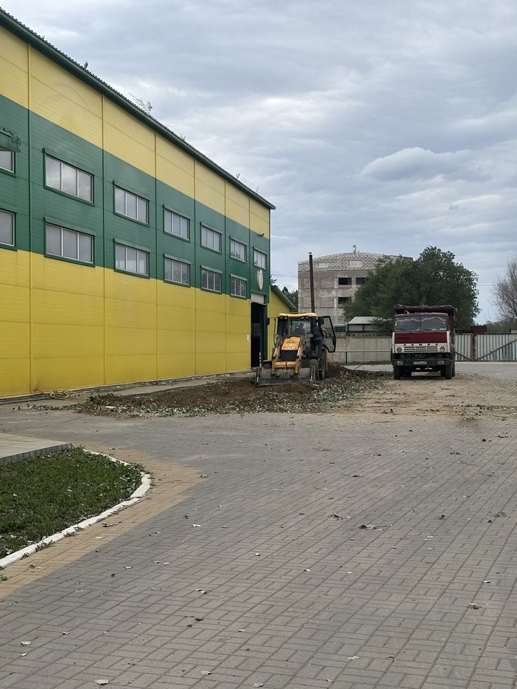 Спил деревьев, Агаш кесу, обрезка