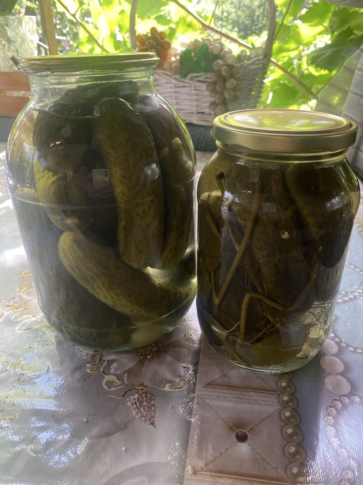 Домашние маринованные огурцы